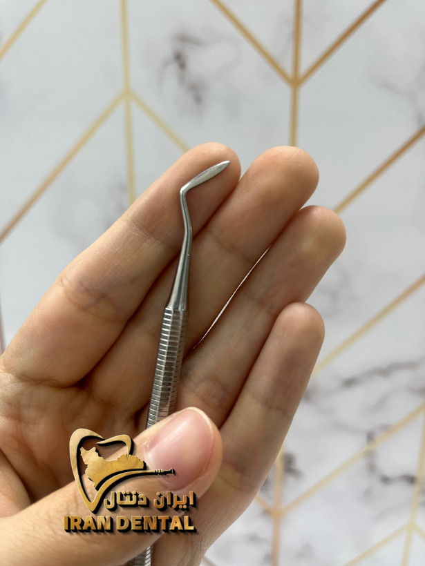 کارور هولن باخ