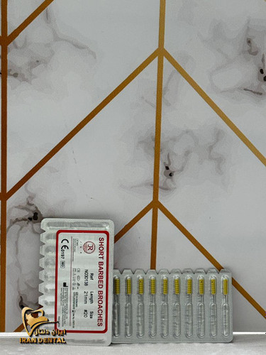 باربروچ روژین