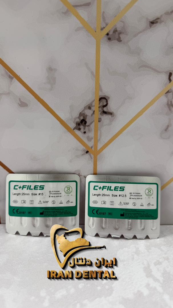 سی فایل روژین