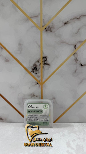 پث فایل روژین